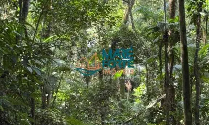 Terreno à venda na Praia do Félix (Praia do Lúcio), Ubatuba 