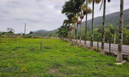 Terreno a Venda na Rodovia dos Macacos - Camboriú/SC