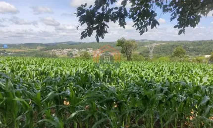 Chácara / sítio à venda na Estrada da Borracha, Ponte Alta, Atibaia