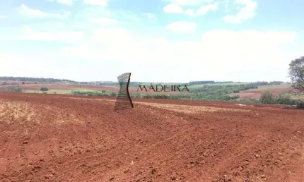 Sítio à venda, Gleba Ribeirão Centenário - Maringá/PR