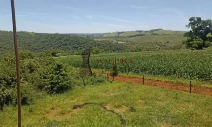 Chácara / sítio à venda na Zona Rural, Mandaguari 