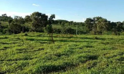 Chácara / sítio com 2 quartos à venda na Zona Rural, Ribeirão Cascalheira 