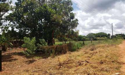 Chácara / sítio à venda no Zona Rural, Cidade Gaúcha 