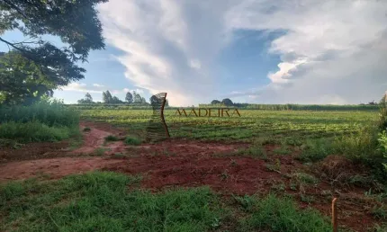 Chácara / sítio à venda na Zona Rural, Nova Esperança 