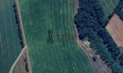 Chácara / sítio à venda na Zona Rural, Nova Esperança 