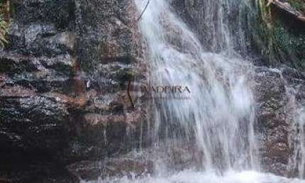 Chácara / sítio à venda na Zona Rural, Uniflor 