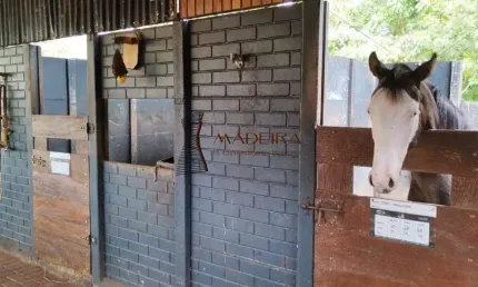 Haras alto padrão a venda para pessoas exigentes 2 alqueires.