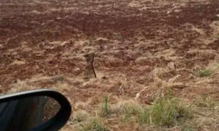 Terreno à venda na Vila Cascata, Arapongas 