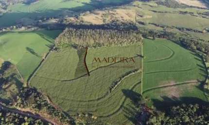 VENDE-SE SÍTIO 8 ALQUEIRES DE TERRA ROCHA EM JANDAIA DO SUL PR