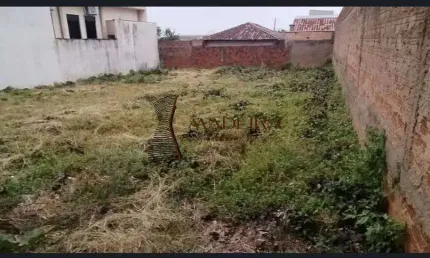 Terreno Comercial à Venda na Avenida das Grevíleas – Maringá/PR R$ 450.000 | 300 m² | Frente com 14 metros