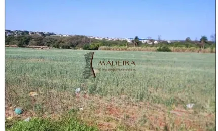 Terreno à venda na Zona Rural, Marialva 
