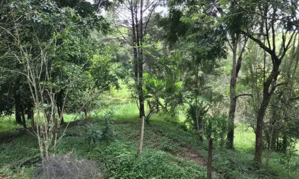 Chácara / sítio com 2 quartos à venda no centro, jambeiro  por r$ 950.000