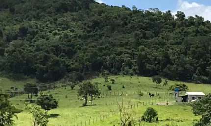 Chácara / sítio à venda no centro, paraibuna  por r$ 220.000