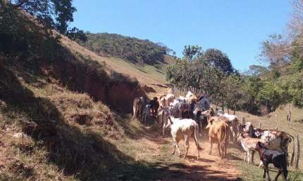 Fazenda com 2 salas à venda no Centro, Cunha  por R$ 5.180.000