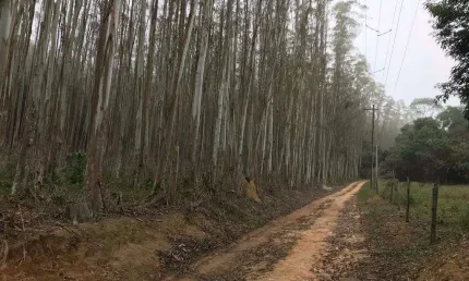 Chácara / sítio com 1 quarto à venda na Zona Rural, Biritiba-Mirim  por R$ 2.250.000