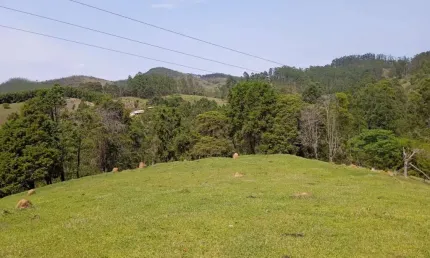 Chácara / sítio à venda no bairro da lagoa, paraibuna  por r$ 500.000