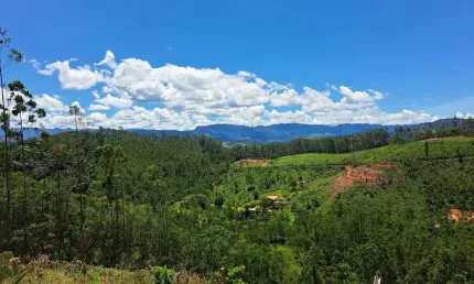 Chácara / sítio à venda no Centro, Monteiro Lobato  por R$ 440.000