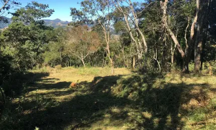 Chácara / sítio à venda na Zona Rural, Monteiro Lobato  por R$ 385.000