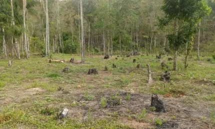Chácara / sítio com 1 quarto à venda na Ponte Nova, Monteiro Lobato  por R$ 260.000