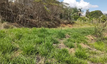 Chácara / sítio à venda no Marambaia, Caçapava  por R$ 245.000