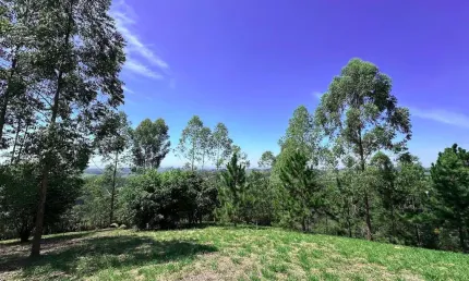 Chácara / sítio à venda no freitas, são josé dos campos  por r$ 800.000