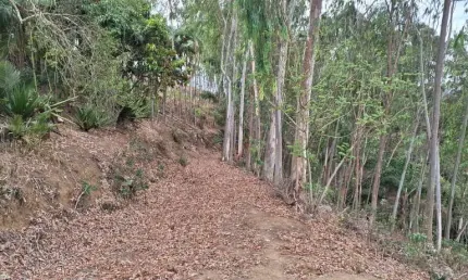 Chácara / sítio à venda no jaguari, são josé dos campos  por r$ 900.000