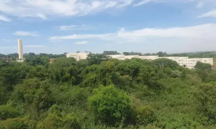 Apartamento para Venda em Araraquara, Solidariedade, 2 dormitórios, 1 banheiro, 1 vaga