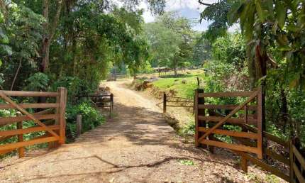 Chácara / sítio à venda na Propriedade Rural, S/N, Zona Rural, Jacutinga por R$ 750.000