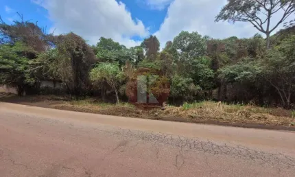 Terreno comercial para alugar no Parque Ipiranga, Betim 
