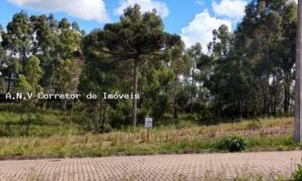 Terreno à venda em Serrano, Caxias do Sul 