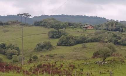 Fazenda para Venda em Caxias do Sul, Mulada, 3 dormitórios, 1 suíte, 1 banheiro, 3 vagas