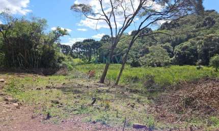 Chácara / sítio à venda na Vila Seca, Caxias do Sul 
