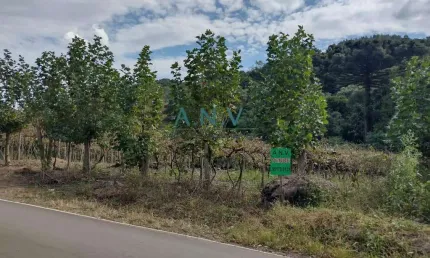 Chácara / sítio à venda em Loreto, Caxias do Sul 