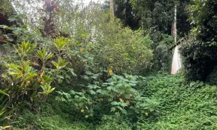Terreno à venda na Rua Jacob Eisenhuth, --, Atiradores, Joinville por R$ 1.400.000