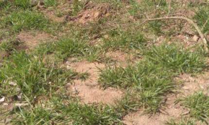 Terreno à venda no Jardim Ana Estela, Carapicuíba 
