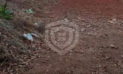 Terreno à venda no Parque Jardim Europa, Bauru 