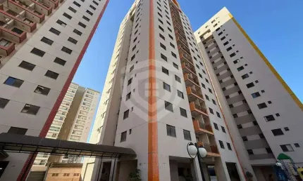 Apartamento para locação com 3 quartos 83m² residencial trianon