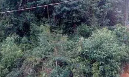 Terreno 250m² (Prox aos Condomínios Genesis, Valville e Residencial 10) com Suit