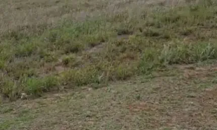 Terreno à venda, 572 m² por R$ 743. - Aldeia da Serra - Santana de Parnaíba/SP C