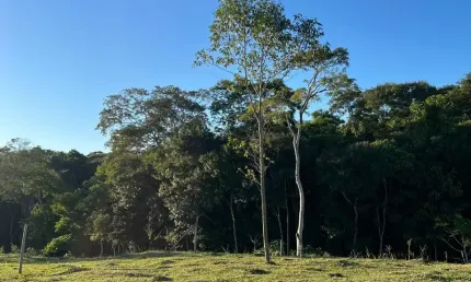 Chácara / sítio com 2 quartos à venda em São Vicente de Paula, Araruama 