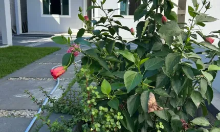 Casa com 3 quartos à venda na Avenida Gravatá, 152, Nova Califórnia (Tamoios), Cabo Frio