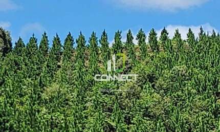 Fazenda à venda, 4477000 m² por R$ 27.000.000,00 - Zona Rural - Bocaiúva do Sul/PR