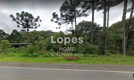 Terreno comercial à venda na pr-090 - estrada do cerne, bateias, campo largo, 144200 m2 por r$ 980.000