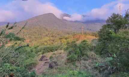 Terreno à venda, 29354 m² por R$ 5.000.000,00 - São Pedro - Ilhabela/SP