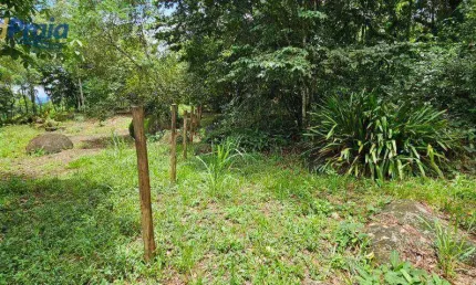 Terreno à venda, 3118 m² por R$ 1.500.000,00 - São Pedro - Ilhabela/SP