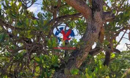 Casa em condomínio fechado com 3 quartos à venda na Águas de Serra Morena, Taquaraçu de Minas 