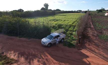 Sítio / Chácara para Venda em Pérola, AREA RURAL ., 1 dormitório, 1 suíte, 2 banheiros