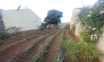 Terreno à venda na Avenida Universal, 639, Jardim Universal, Sarandi