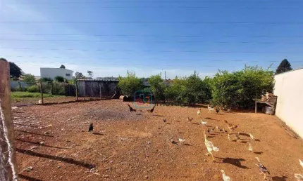 Terreno à venda, 732 m² por r$ 1.280.000,00 - vila bertini - americana/sp