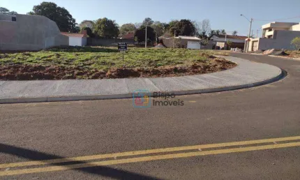 Terreno à venda, 291 m² por R$ 270.000,00 - Vista Alegre - Santa Bárbara D'Oeste/SP